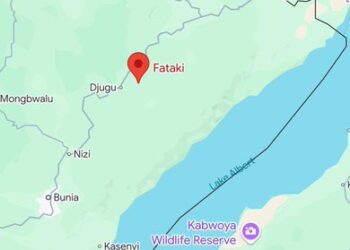 UPDF Kill 242 CODECO Militants in Fierce Two-Day Battle in Eastern DR Congo
