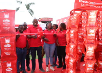 Unilever Unveils Royco String Pack to Boost Convenience and Nutrition