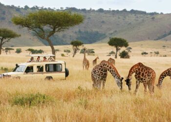 Investing in East Africa’s Luxury Cars, Real Estate and Tourism