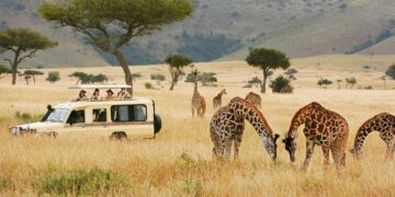 Investing in East Africa’s Luxury Cars, Real Estate and Tourism