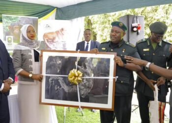 UWA, KCCA Executive Directors Renew Commitment to Conservation & Sustainability in Kampala