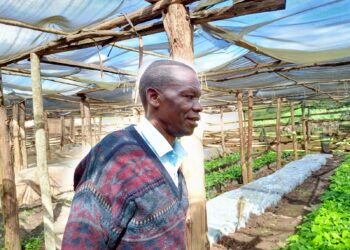 Meet James Nyombi: Mubende Farmer Turning Rentals into Poultry Coops and Coffee into Gold