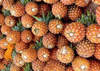 Historic Touchdown: Uganda Airlines London Flight Ignites Praise and Trade Hopes