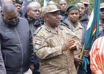 Gorilla Census Key to Sustainable Conservation – Experts