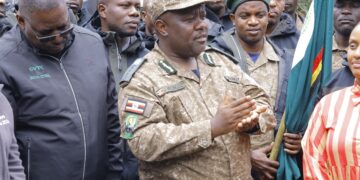 Gorilla Census Key to Sustainable Conservation – Experts