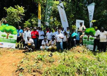 NFA Partners with Total Energies to Restore Jubiya Central Forest Reserve in Masaka