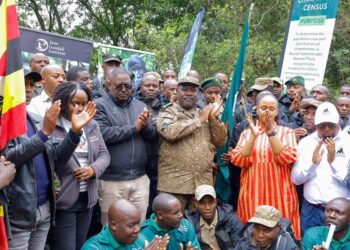 Mountain Gorilla and Chimpanzee Census Launched in Bwindi-Sarambwe Ecosystem