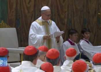 Pope Leo XIV Urges Unity, Peace in First Homily