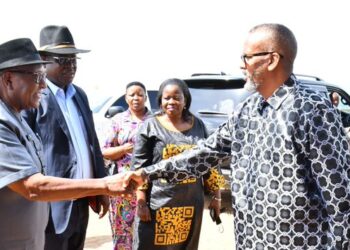 Namibian Kings Visit Busoga Kingdom, Forge Stronger African Cultural Bonds