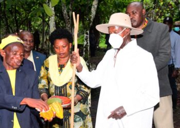 Museveni Applauds Cocoa & Palm Oil Farmers for Pioneering Profitable Agriculture