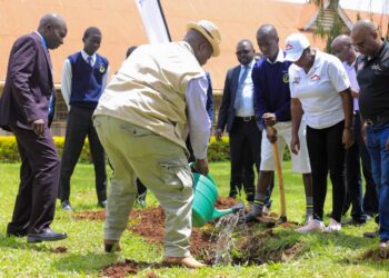 Equity Bank Champions Clean Energy, Climate Resilience Through Equi-Green Loans