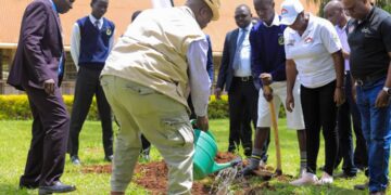Equity Bank Champions Clean Energy, Climate Resilience Through Equi-Green Loans