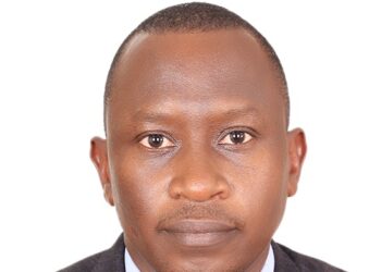 Building Industry Resilience in Emerging Markets Through Development Finance