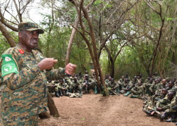 UPDF, Somali Army Recapture Sabiid-Anole Town From Al-Shabaab