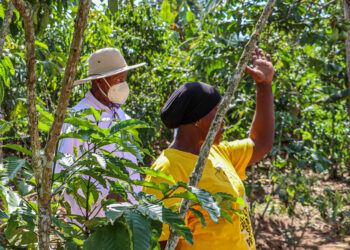 How Shs1m PDM Funds Transformed the Life of a Butambala Mother