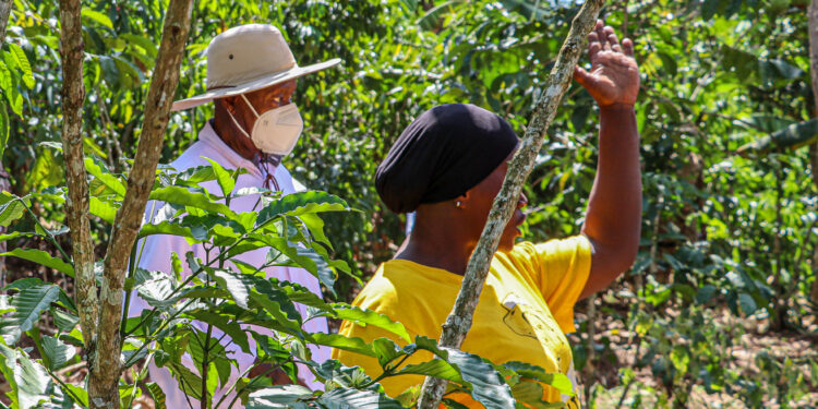 How Shs1m PDM Funds Transformed the Life of a Butambala Mother