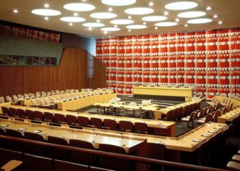 Four African Nations Elected to UN Economic and Social Council