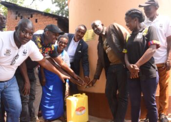 NBL Restores Part of Kibale Wetland to Conserve River Rwizi