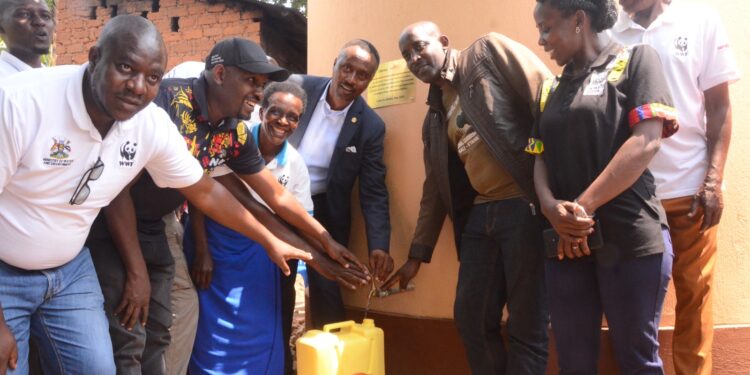 NBL Restores Part of Kibale Wetland to Conserve River Rwizi