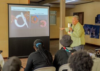 Visual Artisans tipped on Entry to the US Market