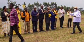 Museveni Orders Draft Regulations to Streamline Tea Sector