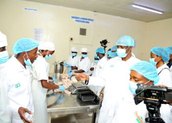 Masheda Foods Launches Catfish Factory in Mpigi