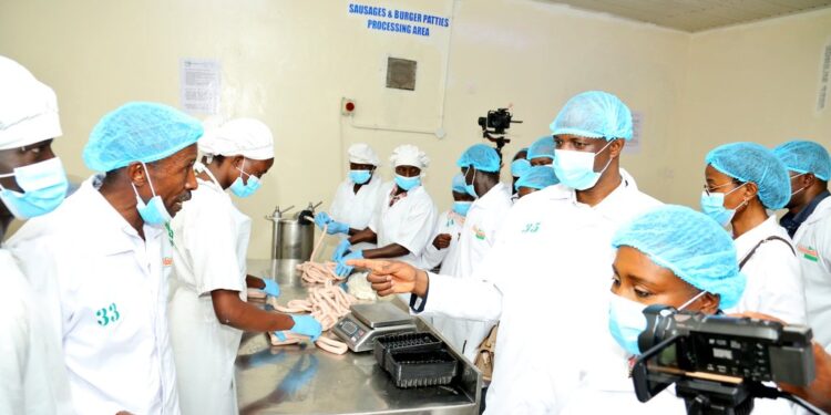 Masheda Foods Launches Catfish Factory in Mpigi