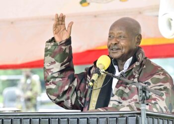 Museveni Proposes Select Committee to Resolve Lango Cattle Compensation Dispute