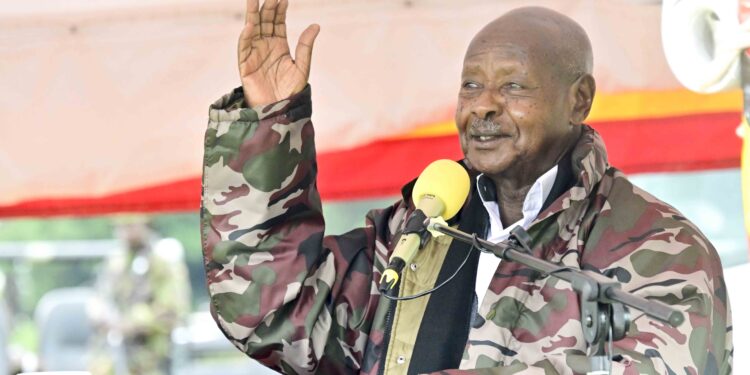 Museveni Proposes Select Committee to Resolve Lango Cattle Compensation Dispute