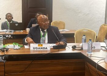 Dr Mukiza Makes Case for Stronger Data Systems at IGAD Meeting
