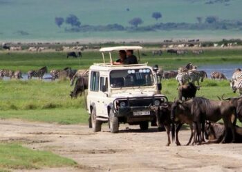 Tanzania Tour Operators Welcome Ban on Foreign Tour Guides