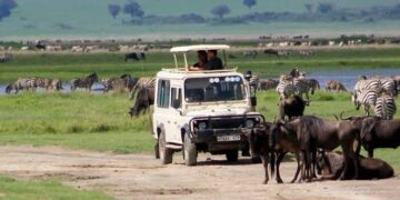 Tanzania Tour Operators Welcome Ban on Foreign Tour Guides