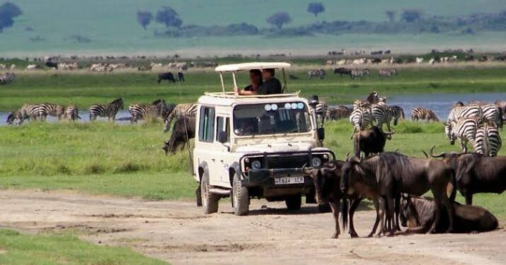 Tanzania Tour Operators Welcome Ban on Foreign Tour Guides
