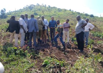 Hoima Sugar, Bunyoro-Kitara Kingdom Partner to Restore Muhangaizima Site