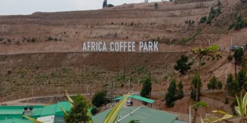 Africa Coffee Park: Driving Value Addition and New Hope for Ugandan Coffee