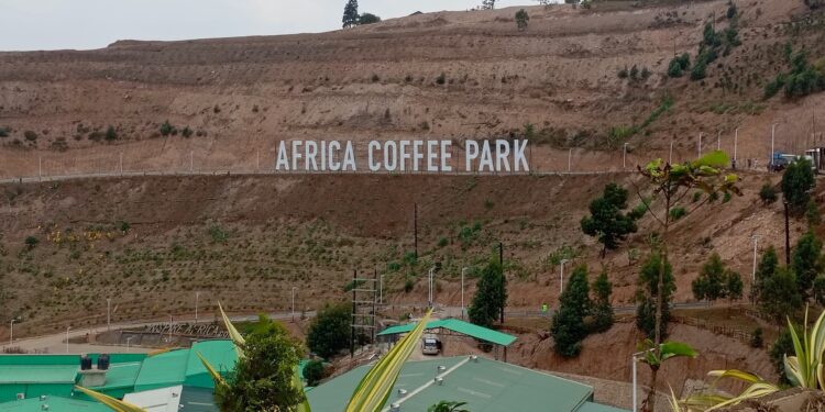 Africa Coffee Park: Driving Value Addition and New Hope for Ugandan Coffee