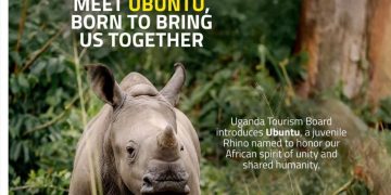 Uganda Names 17 Rhino Calves in First-Ever Naming Ceremony at Ziwa