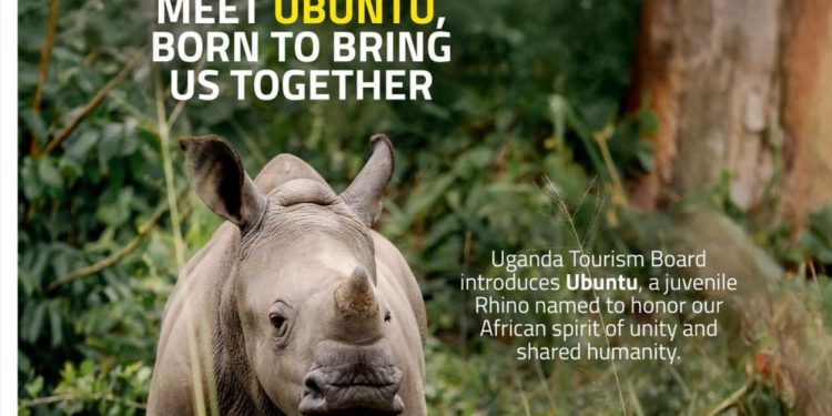 Uganda Names 17 Rhino Calves in First-Ever Naming Ceremony at Ziwa