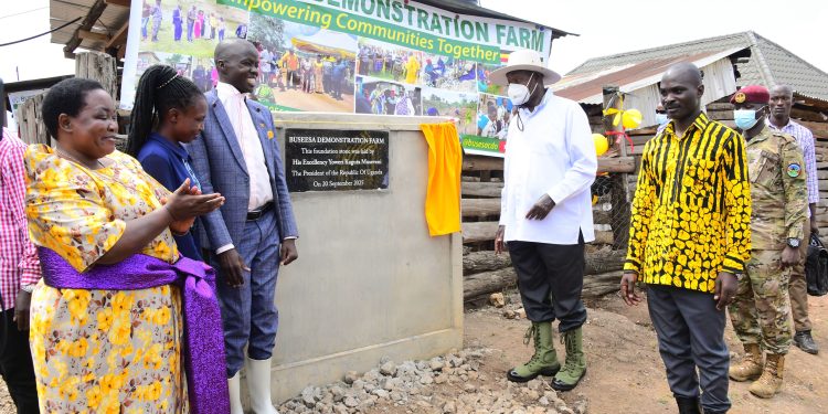 Museveni Impressed by Busesa Demonstration Farm, Pledges Shs12m for More Cows