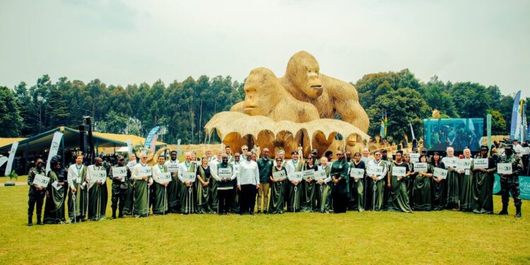 Global Icons, Conservationists and Celebrities Name 40 Baby Gorillas in Rwanda