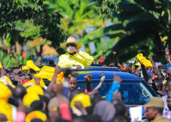 Museveni Pledges Special Consideration for Acholi in Revised Cattle Compensation Program