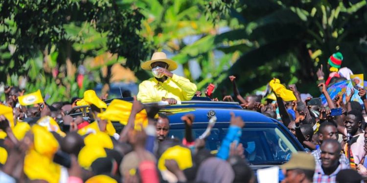 Museveni Pledges Special Consideration for Acholi in Revised Cattle Compensation Program