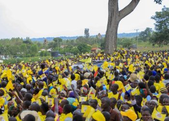 Museveni to Kibuku: Peace Paved the Road, Now Families Must Create Wealth