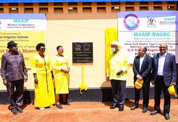 Museveni Commissions Shs71bn Achomai Irrigation Scheme