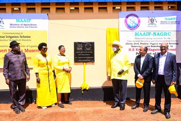 Museveni Commissions Shs71bn Achomai Irrigation Scheme