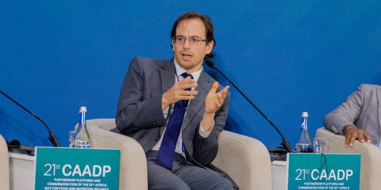 AGRA Reaffirms Support for African Food Systems Reforms