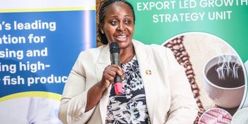 Uganda Moves to Revive Fish Sector, Targets 183,000 Metric Tonnes by 2028