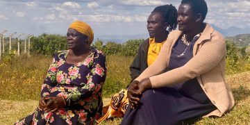 Scars of Sebei: How 3 Women Overcame the FGM Cut, Emerged from the Shadow of GBV