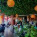 The Patio Bella: Kampala’s Lush Oasis for Sustainable Luxury Dining