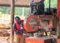 From Wood to Timber: How €15m is Transforming Uganda’s Forests into Jobs